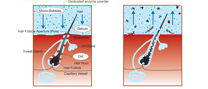 microbubbles lifting dirt from pores